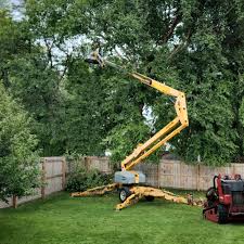 Best Lot and Land Clearing  in Baldwin Park, CA