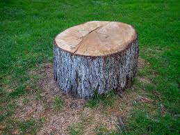 Best Leaf Removal  in Baldwin Park, CA