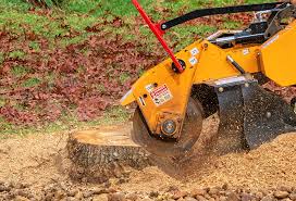 Lawn Maintenance Plans in Baldwin Park, CA